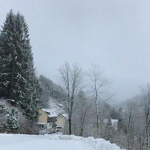 Holiday Haus